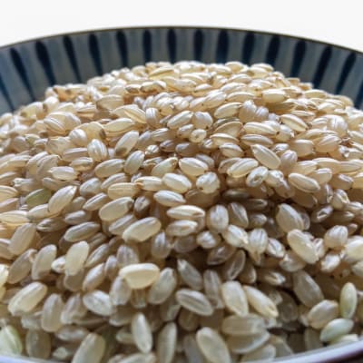 令和7年産・玄米『みどり豊』20kg　10月中旬頃から発送