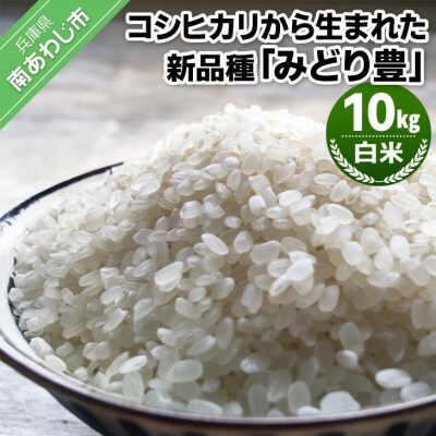 令和6年産・白米『みどり豊』10kg　10月初旬頃から発送