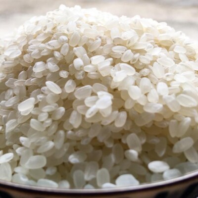 令和6年産・白米『みどり豊』10kg　10月初旬頃から発送