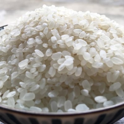 【令和7年産】栽培期間中農薬・化学肥料不使用 白米10kg みどり豊(コシヒカリ)