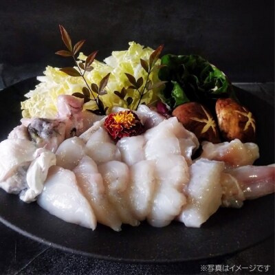 【FUKUototo】熟成てっちりセット&てっさ(ニ人前)