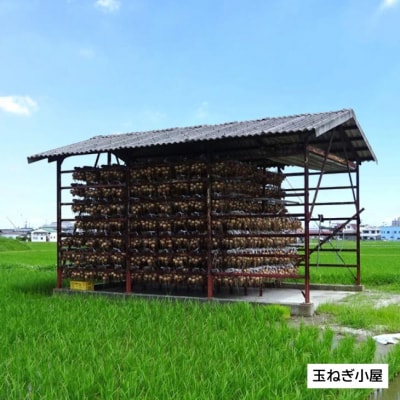 淡路島玉ねぎ10kg(訳あり)