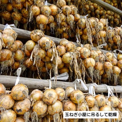 淡路島玉ねぎ10kg(訳あり)