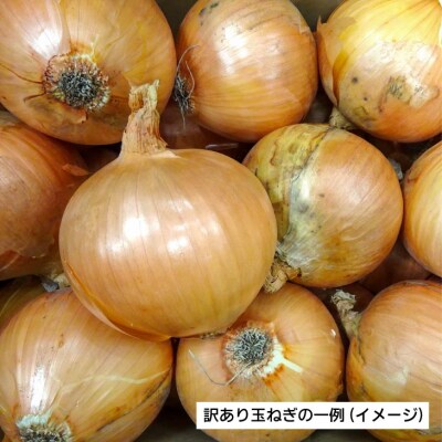 淡路島玉ねぎ5kg(訳あり)