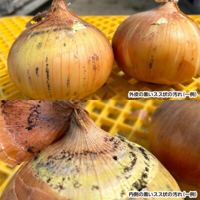 【広瀬青果】たまねぎ島のまかないセット〈玉ねぎ5kg【訳あり】+味噌汁20食分〉