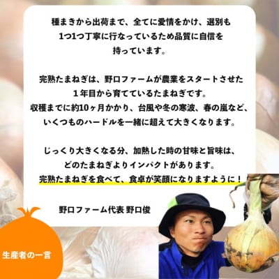 【3回定期便】mama-yasai たまねぎ5kg