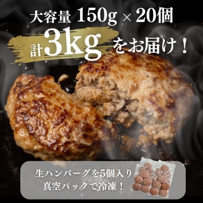 淡路島玉ねぎ入れすぎハンバーグ 3kg(150g×20個) 冷凍