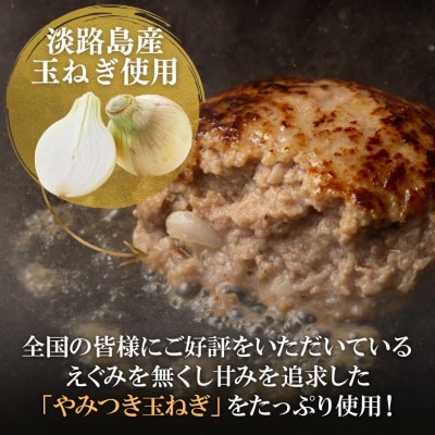 定期便「6ヶ月」淡路島玉ねぎ入れすぎハンバーグ 3kg(150g×20個)冷凍