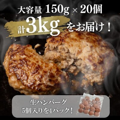 定期便「12ヶ月」淡路島玉ねぎ入れすぎハンバーグ 3kg(150g×20個)冷凍