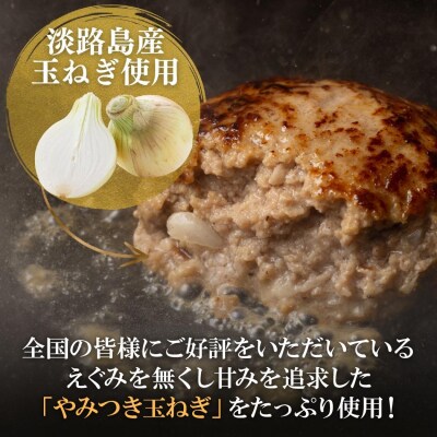 定期便「12ヶ月」淡路島玉ねぎ入れすぎハンバーグ 3kg(150g×20個)冷凍