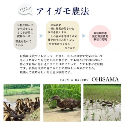 令和7年産　イセヒカリ　10kg(5kg×2)　白米〈栽培期間中農薬不使用　あいがも農法米〉