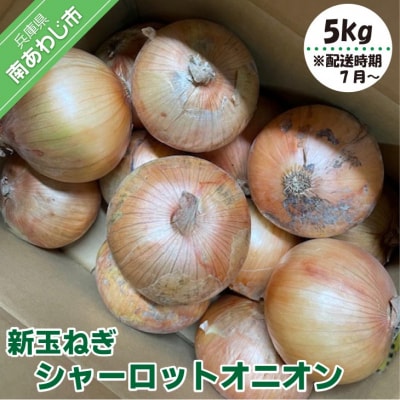 新玉ねぎ シャーロットオニオン 5kg ◆配送7月上旬～11月末