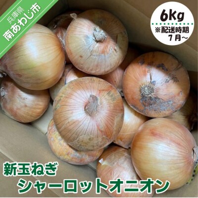 新玉ねぎ シャーロットオニオン 6kg ◆配送7月上旬～11月末