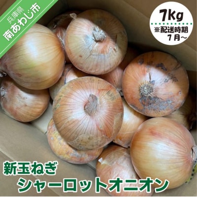 新玉ねぎ シャーロットオニオン 7kg ◆配送7月上旬～11月末