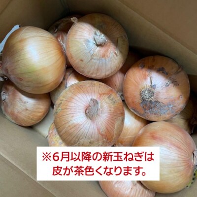 新玉ねぎ シャーロットオニオン 7kg ◆配送7月上旬～11月末
