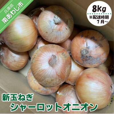 新玉ねぎ シャーロットオニオン 8kg ◆配送7月上旬～11月末