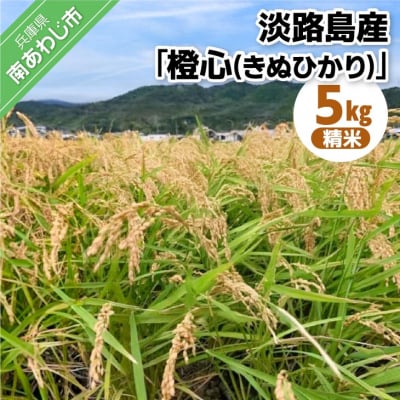 【令和8年度産】淡路島産「橙心(きぬひかり)」　精米5kg