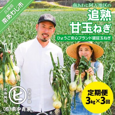 【3ヶ月定期便】「追熟甘玉ねぎ」3kg