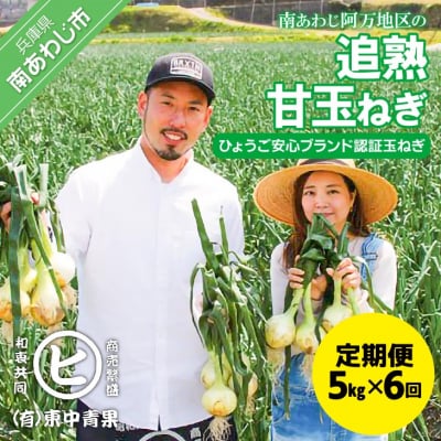 【6ヶ月定期便】「追熟甘玉ねぎ」5kg