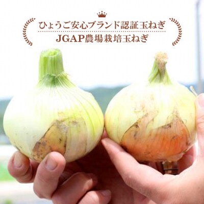 【3ヶ月定期便】「追熟甘玉ねぎ」10kg