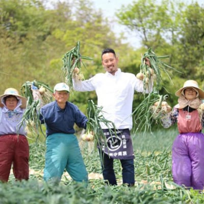 【3ヶ月定期便】「追熟甘玉ねぎ」10kg