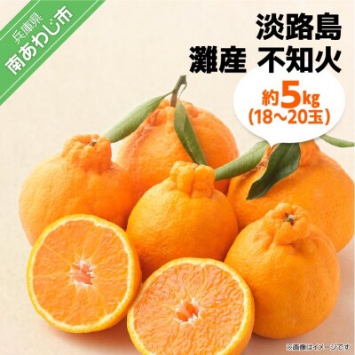 【期間限定】 淡路島灘不知火