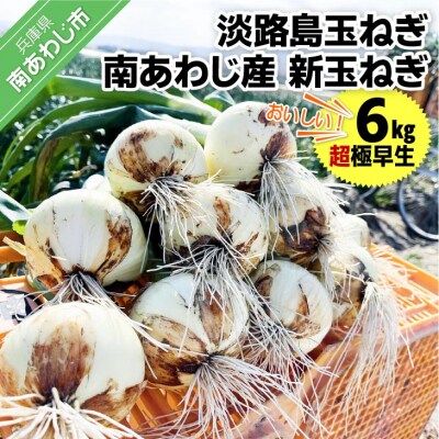淡路島玉ねぎ　南あわじ産　新玉ねぎ(超極早生)6kg　期間限定!