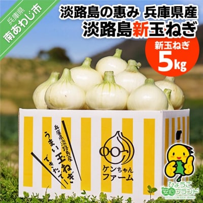 【新玉受付!】＼うまい玉ねぎできたでー/ 特別栽培・新玉ねぎ5kg　◆配送R9.3月中旬～5月末
