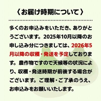 【新玉受付!】＼うまい玉ねぎできたでー/ 特別栽培新玉ねぎ10kg　◆配送3月中旬～6月中旬