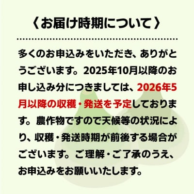 【新玉受付!】＼うまい玉ねぎできたでー/ 特別栽培新玉ねぎ10kg　◆配送R9.3月中旬～5月末