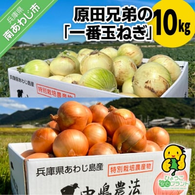 原田兄弟の一番玉ねぎ 10kg