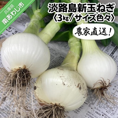 農家直送!淡路島新玉ねぎ ≪3kgサイズ色々≫