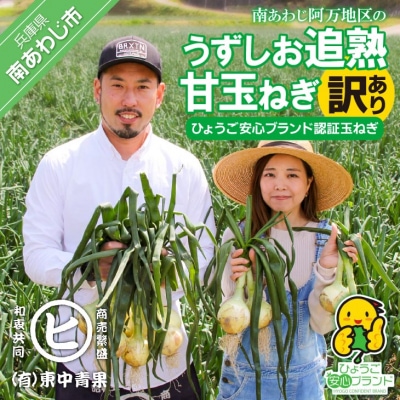【東中青果】うずしお追熟甘玉ねぎ(訳あり)10kg