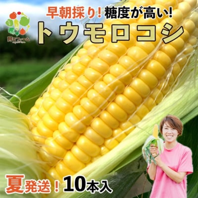 【令和8年産】早朝採りトウモロコシ10本セット　◆配送6月下旬～7月頃