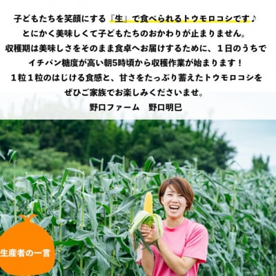 【令和8年産】早朝採りトウモロコシ10本セット　◆配送6月下旬～7月頃