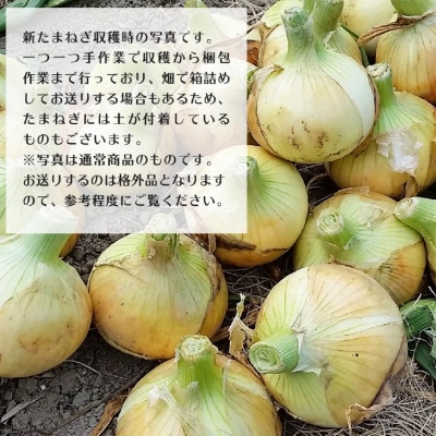 【あさひサンファーム】兵庫県認証★特別栽培★淡路島新たまねぎちょっと訳あり【5kg】