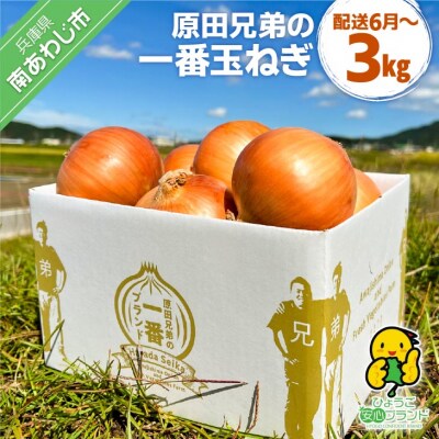 単品15個セット 貝印 KQ3281 スパット 毛切り 代引不可