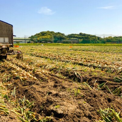 農家直送!【奈良農園】淡路島玉ねぎ ≪3kgサイズ色々≫