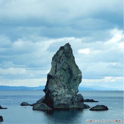 【沼島 木村屋】元祖　鱧すきセット(2人前)