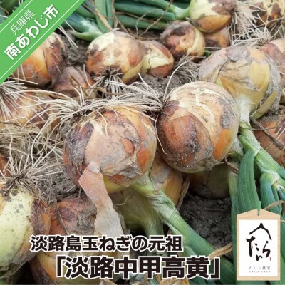 希少完熟玉ねぎ 元祖のタマネギ「淡路中甲高黄」約3kg