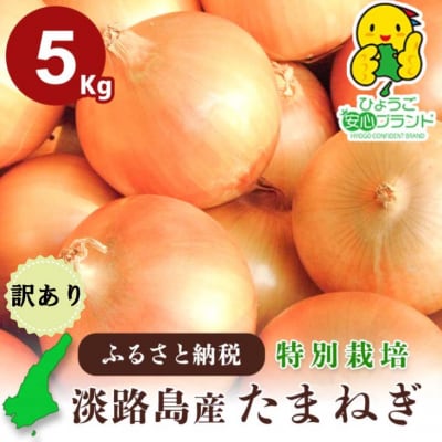 兵庫県認証★特別栽培★淡路島たまねぎ【5kg】 ちょっと訳あり(サイズ不ぞろい、少し変形)
