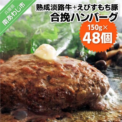 熟成淡路牛とえびすもち豚の合挽ハンバーグ(150g×48個セット)
