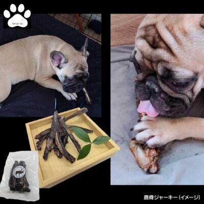 【Smile.LLC】ペットフード、鹿、小型犬SET