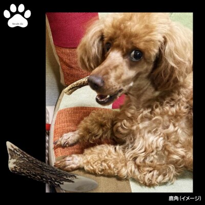 【Smile.LLC】犬・猫・ペットフード、鹿骨ジャーキー【メール便】