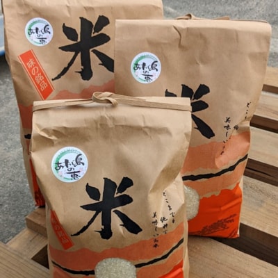 【ヤマモト】淡路島産【キヌヒカリ】5キロ