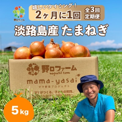 【全3回・2ヶ月に1回定期便】mama-yasai たまねぎ5kg