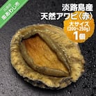【花光】淡路島産天然アワビ(赤)大サイズ1個