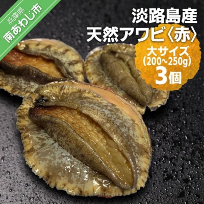 【花光】淡路島産天然アワビ(赤)大サイズ3個