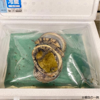 【花光】淡路島産天然アワビ(赤)大サイズ3個