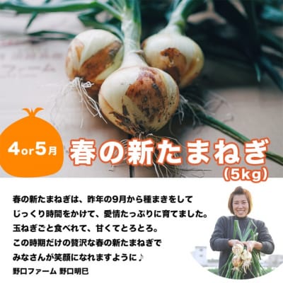 【野口ファーム】【全5回定期便】 贅沢!旬のバラエティセット